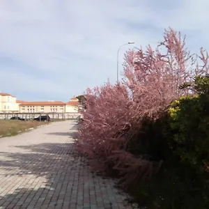 In Parco Naturale, Con Accesso Diretto Pisa