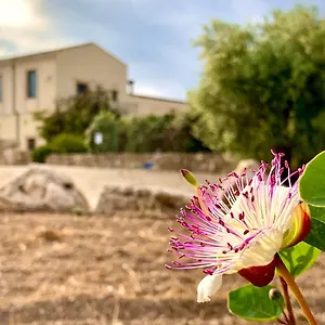Affittacamere Pantanelli Di Vendicari, Casa Maccari
